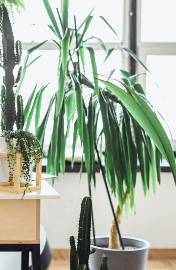 Vestibular physiotherapy room Lausanne sous-gare